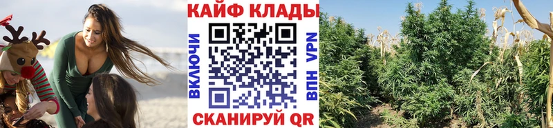 Наркошоп купить ГАШ  Cocaine  Alpha-PVP  Мефедрон  Владикавказ