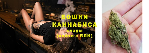 амф Инта