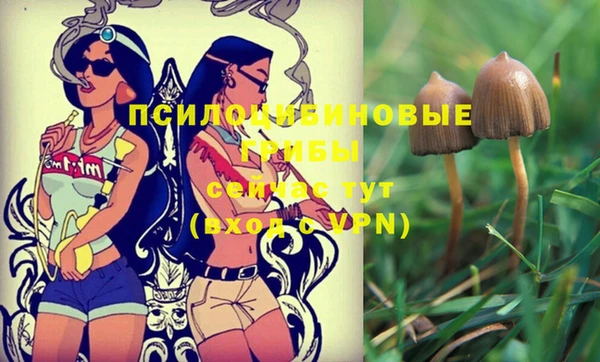 амф Инта