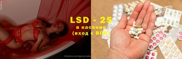 амф Инта