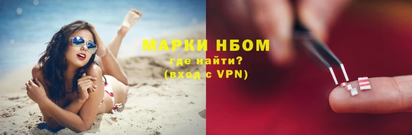 амф Инта