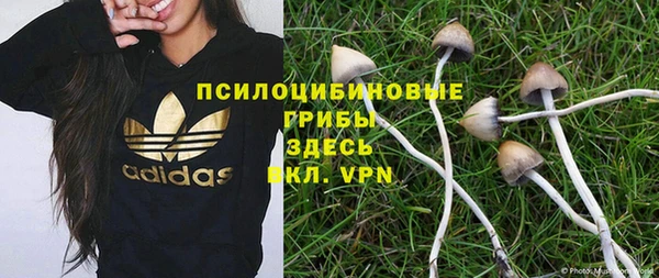ALPHA-PVP Инсар