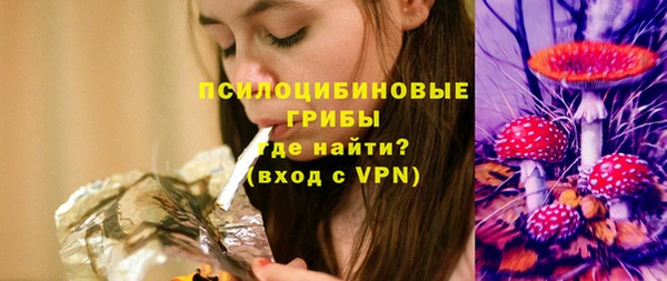ALPHA-PVP Инсар