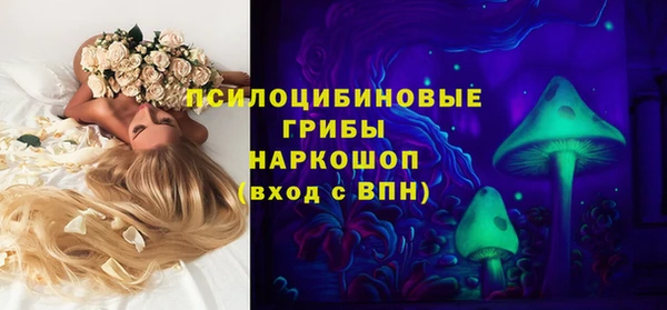 амф Инта