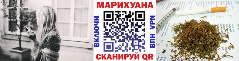 Купить закладки  Владикавказ  Шишки марихуана сатива 